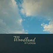 The lyrics EMPTY TRAINLOAD OF SKY of GILLIAN WELCH is also present in the album Woodland (2024)