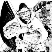 Gorilla biscuits Gorilla biscuits