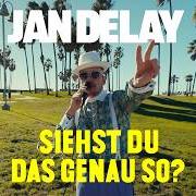 The lyrics ICH MÖCHTE NICHT, DASS IHR MEINE LIEDER SINGT of JAN DELAY is also present in the album Siehst du das genau so? (2024)